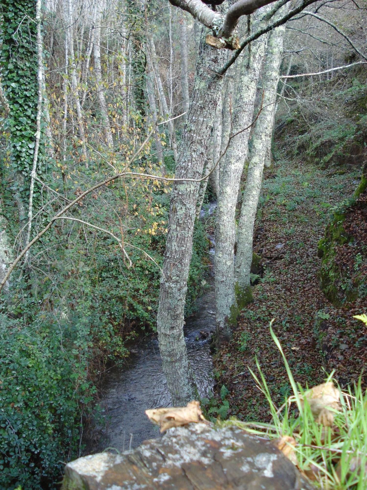 Quinta Das Levadas - Country House & Nature Alvoco das Várzeas Zewnętrze zdjęcie